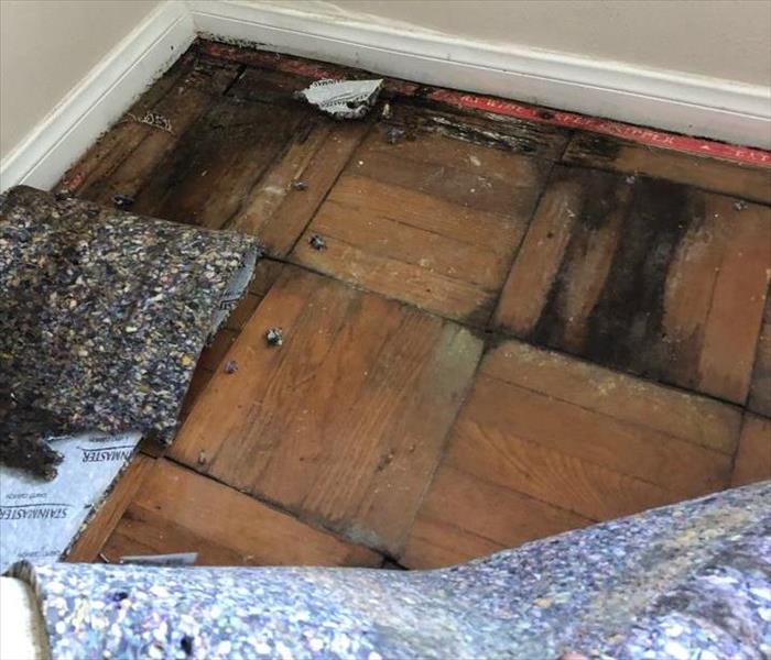 Wooden floor showing water damage